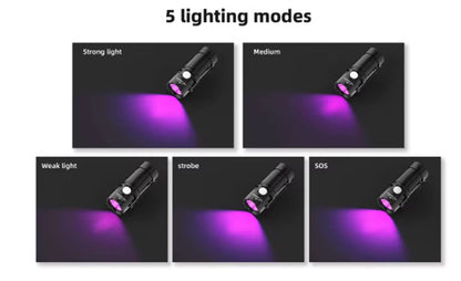UV EGI Light